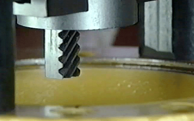 Slide Image